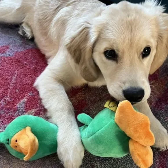 TrustyPup Green Plush Long Neck Duck Dog Toy - Picture 9 of 16